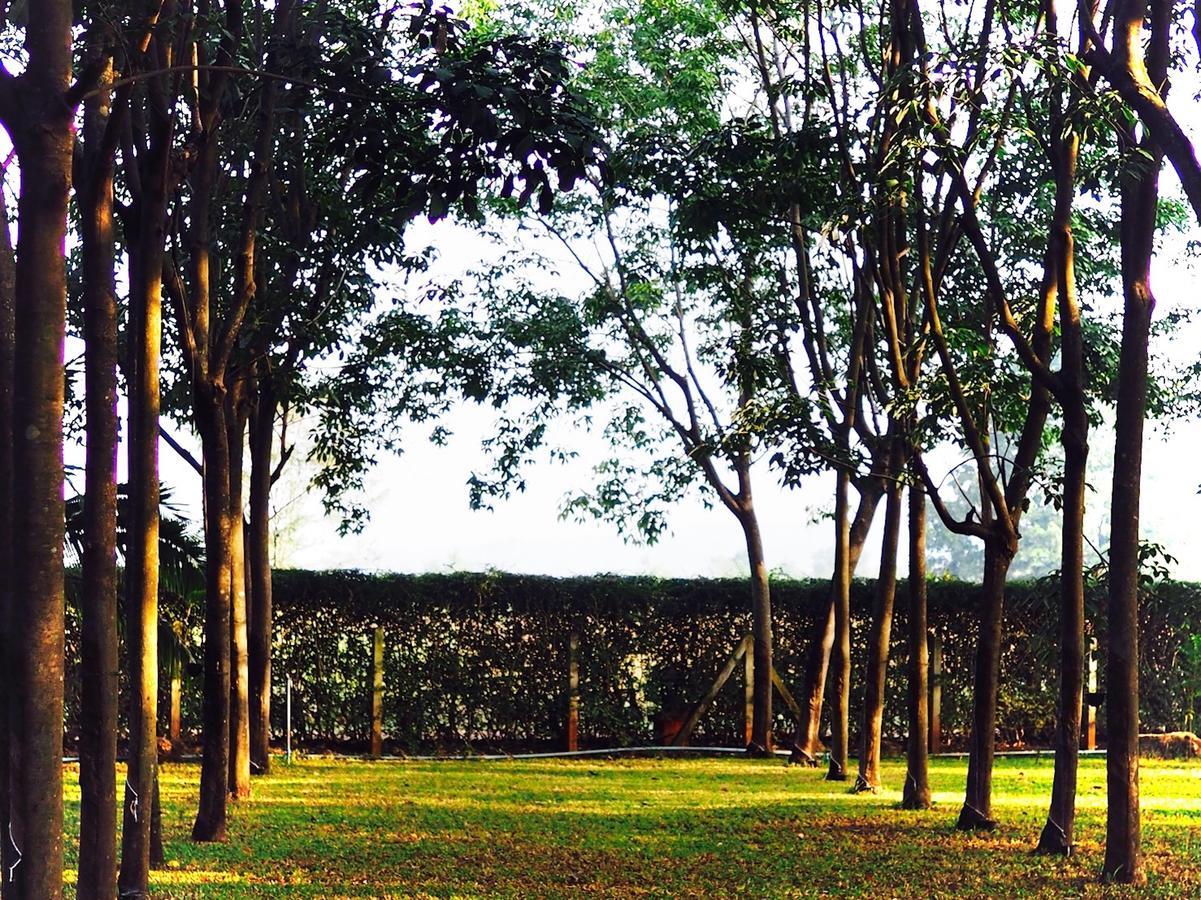 Singha Rubber Tree Hotel Ban Huai Maenam Noi Eksteriør billede