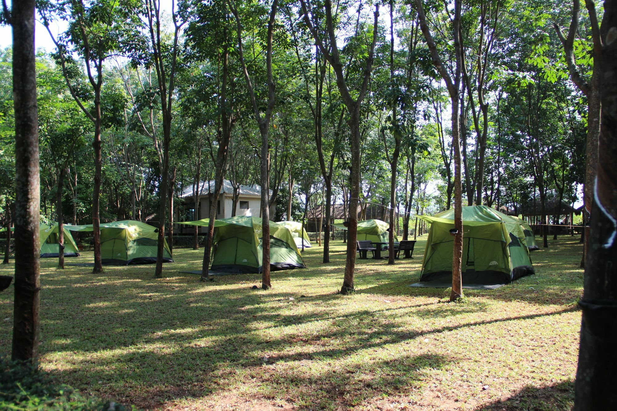 Singha Rubber Tree Hotel Ban Huai Maenam Noi Eksteriør billede